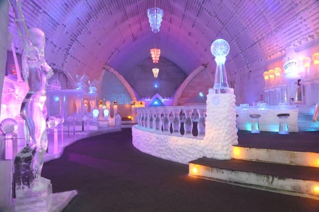 Fairbanks: Aurora Ice Museum Ticket and Guided Tour