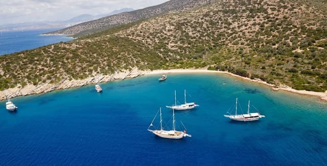 Orak island Boat Trip Bodrum