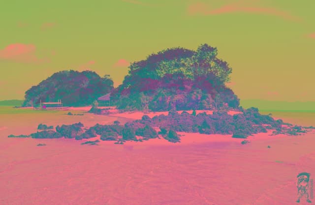 From Coron: Private Island-Hopping Cruise with Lunch