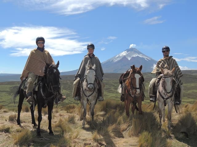 From Quito: Horseback Ride & Cotopaxi National Park Day Trip