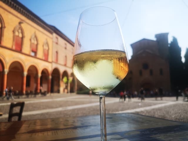 Authentic Wine Tasting Experiences in Bologna, Italy