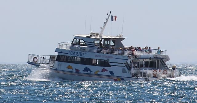 From Cannes: Ferry Tickets to Sainte-Marguerite Island