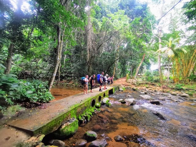 Ilha Grande: Private Hiking with Forest, Beaches & Waterfall