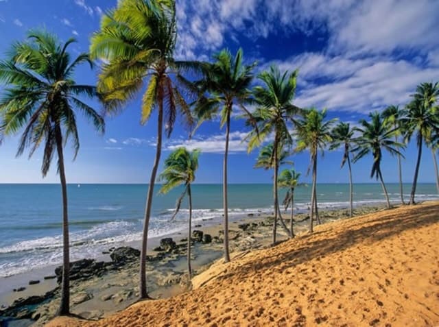 From Fortaleza: Lagoinha Beach Day Trip