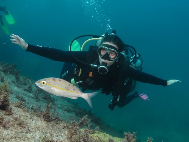 Compare Top-Rated Paraty Diving Tours
