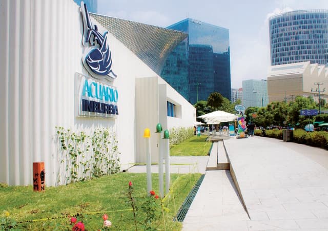 Mexico City: Inbursa Aquarium optional Round trip transfer