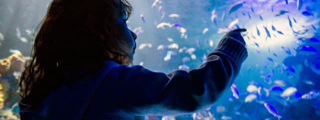 Mexico City: Inbursa Aquarium optional Round trip transfer