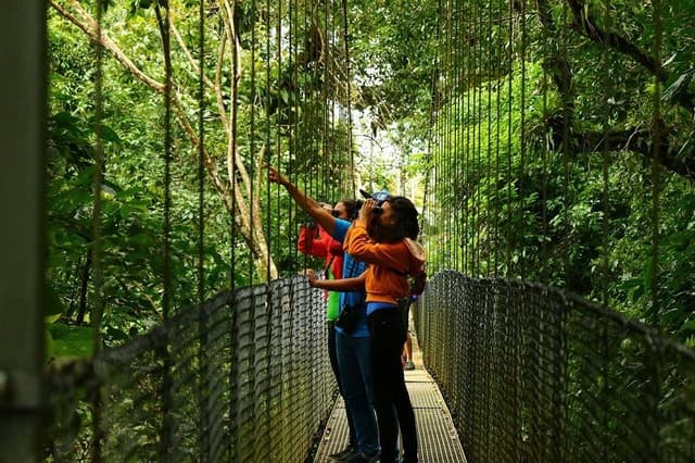 Unforgettable Arenal Hanging Bridges Adventure in La Fortuna
