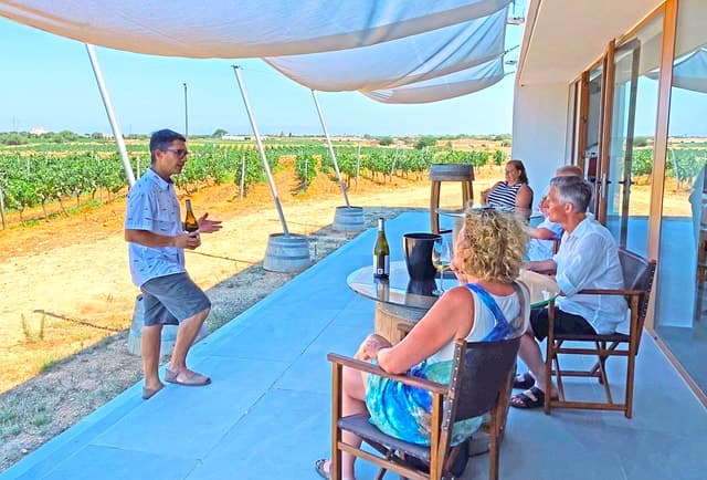 Ciutadella de Menorca: Family Winery Tour with Wine Tasting
