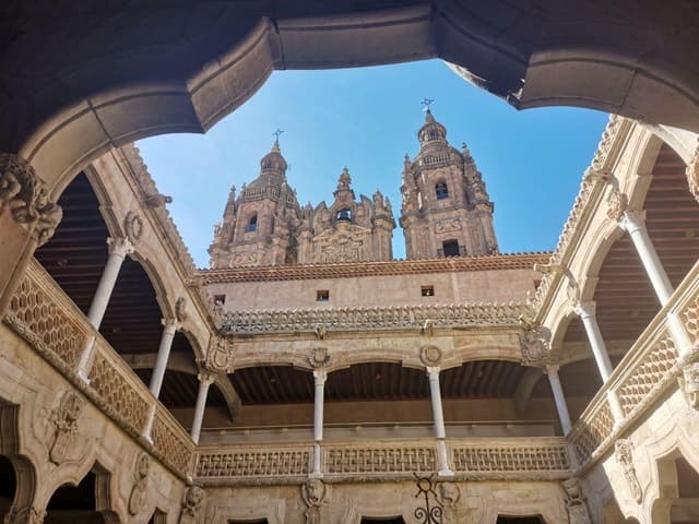 Salamanca: Monuments and Landmarks Guided Walking Tour