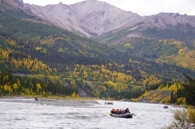Wilderness: Denali National Park Class I-III Rafting Tour