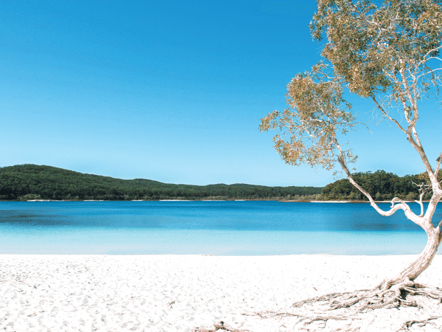 From Rainbow Beach: K'gari, Fraser Island Two-Day Coach Tour