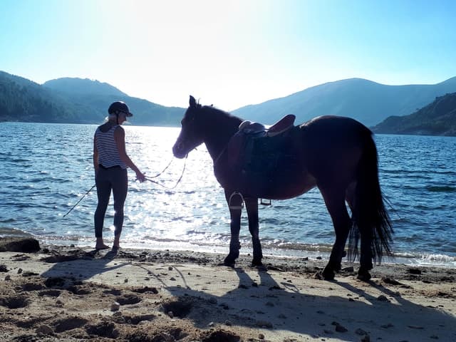 Gerês Braga: Horseback Ride in Peneda Gerês National Park