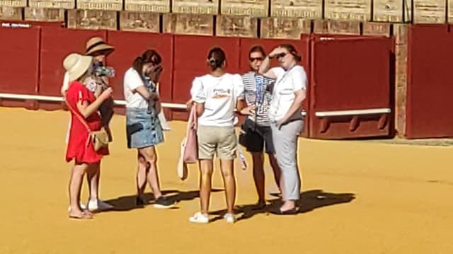 Seville: Bullring Guided Tour with a Skip-the-Line Ticket