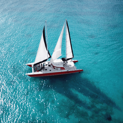 Best Barbados Catamaran Tours & Bridgetown Boat Trips