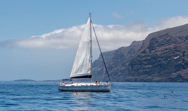 Unforgettable Los Gigantes Sailing & Whale Watching