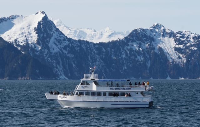 Seward: Spring Wildlife Guided Cruise