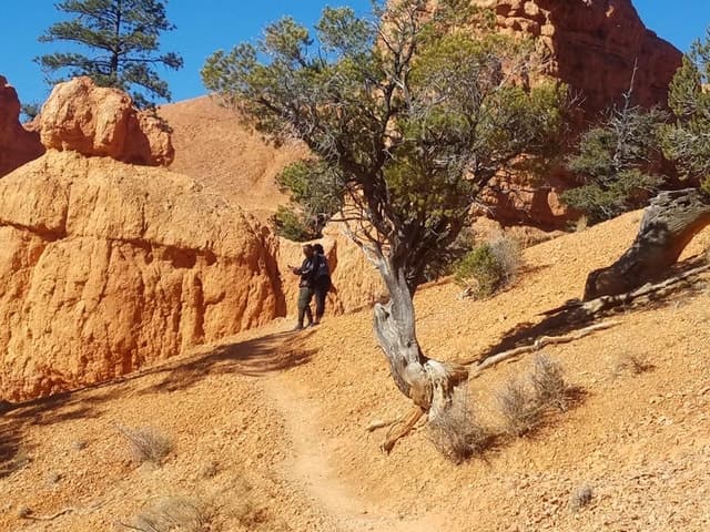 From Las Vegas: Zion and Bryce Canyon Guided Day Tour