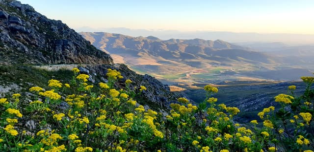 Oudtshoorn: Half-Day Swartberg Pass Private Guided Tour