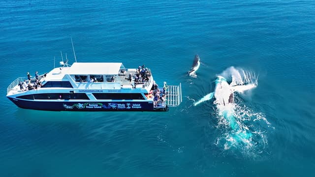 Fraser Island (K'gari): Remote Island and Whale Experience