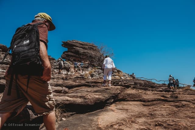 Darwin: Kakadu National Park Day Tour with Lunch