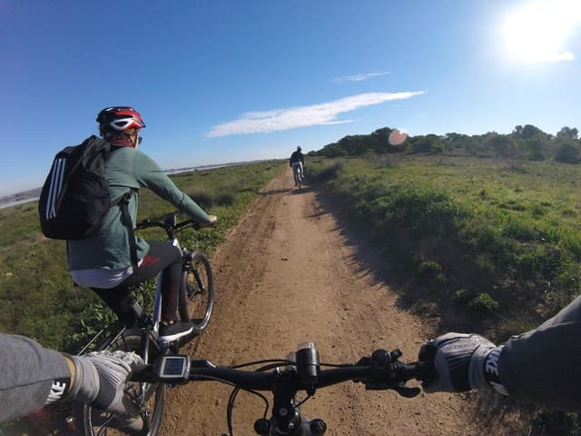 Best Ebike Rentals in Torrevieja: Ride the Coastline