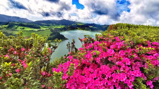 São Miguel 2-Day Tour: Sete Cidades, Fogo, Furnas & Nordeste