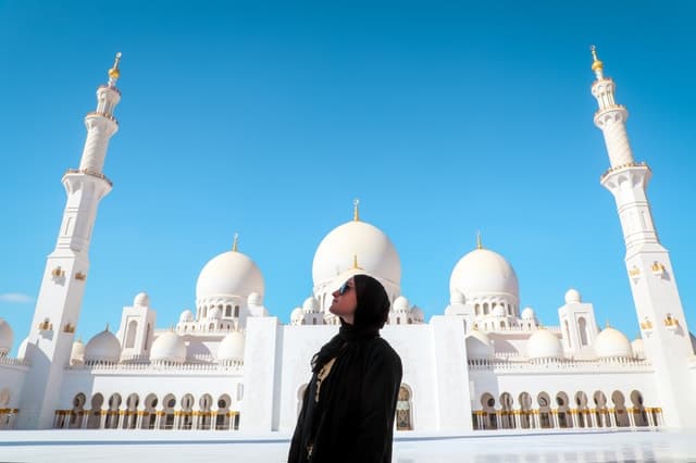 From Dubai: Abu Dhabi Sheikh Zayed Mosque Guided Tour