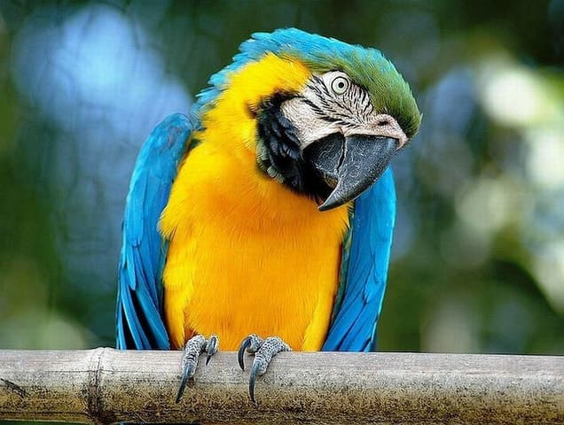 Rome: Bioparco di Roma Zoological Garden Entry Ticket