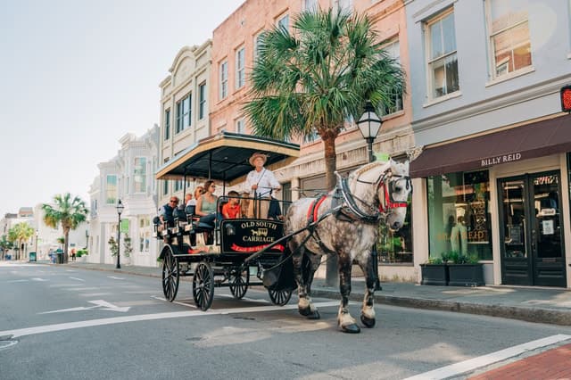 Charleston Carriage Tour
