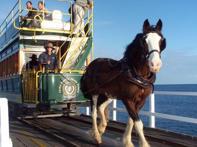 From Adelaide: Victor Harbor & Hahndorf Day Tour