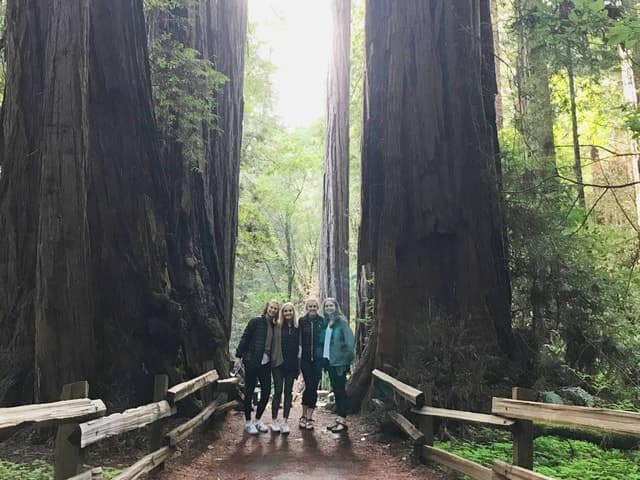 Muir Woods, Golden Gate Bridge & Sausalito Private Tour 3+hr