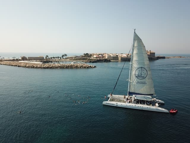 Best Tabarca Island Tours & Boat Trips from Alicante