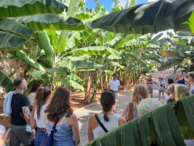 Gran Canaria: Banana World Guided Tour & Tasting