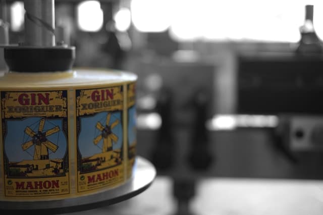 Mahón: Gin Distillery Tour with Tasting & Appetizers
