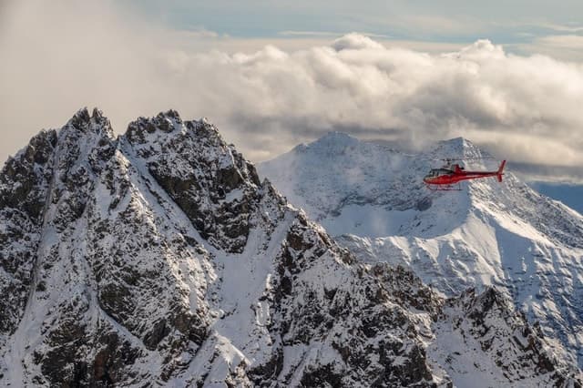 Denali National Park: Helicopter Flight with Glacier Landing