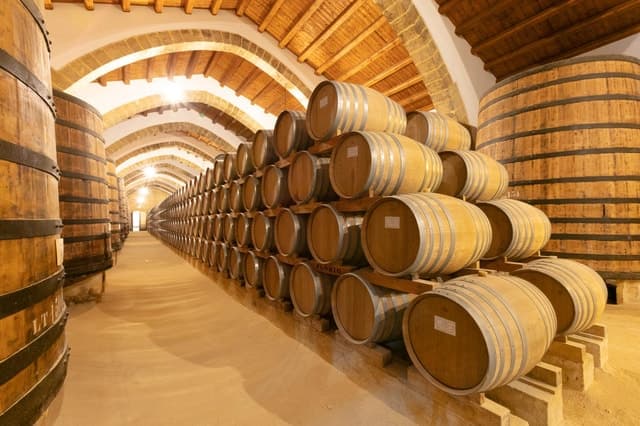 Marsala: Florio Winery Tour with Food-Paired Wine Tastings