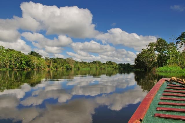 From Iquitos: 3-day Pacaya Samiria National Reserve Tour