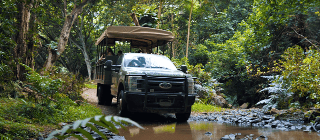 Oahu: Kualoa Open Air Jungle Expedition Tour