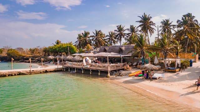 Best Palmarito Beach Day Tours & Caribbean Escapes