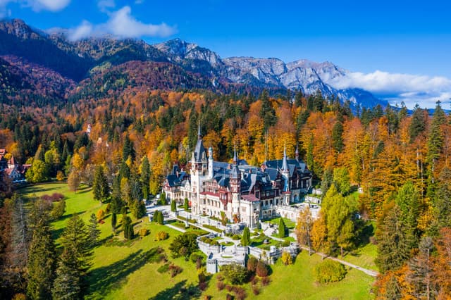 Bucharest: Dracula’s Castle, Peles & Brasov - Private Tour