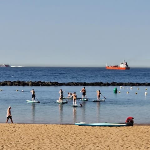 Santa Cruz de Tenerife: Las Teresitas Stand Up Paddle Course