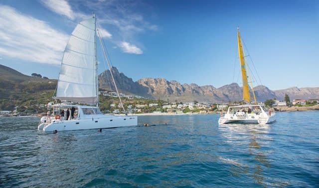 Premium Gin Tasting Experience at Cape Town's V&A Waterfront