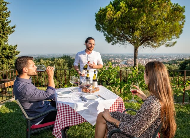 Verona: Wine Tasting with Snacks and Panoramic Views