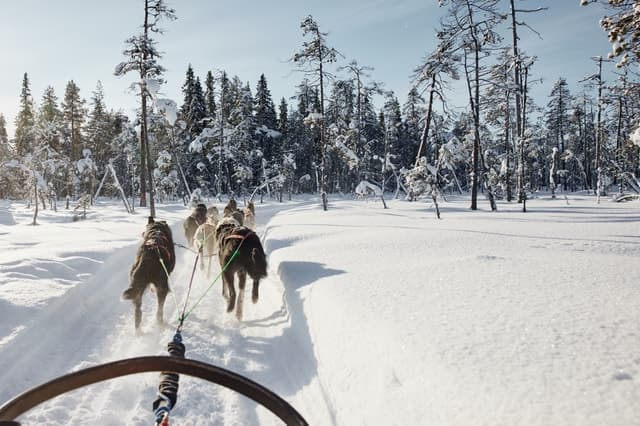 Rovaniemi: Santa Claus Village Husky Ride