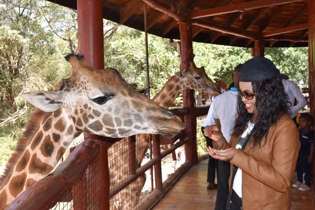 Nairobi: Karen Blixen, Wildlife Trust, & Giraffe Centre Tour