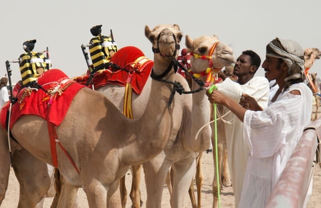 Shahania Bedouin Tour Private