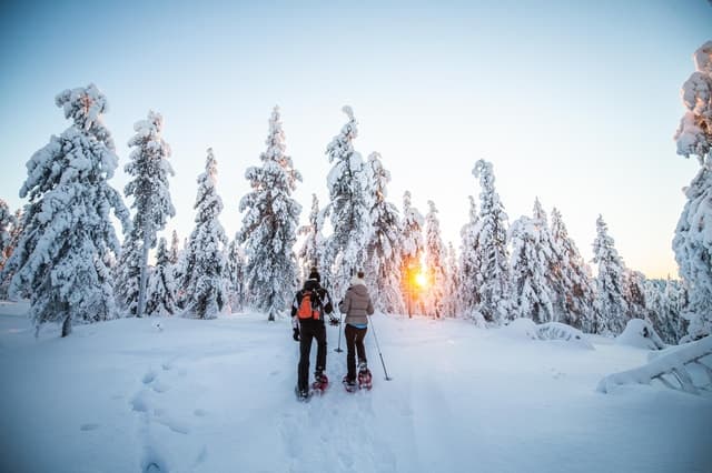 Best Snowshoeing Tours in Durmitor via Sinop