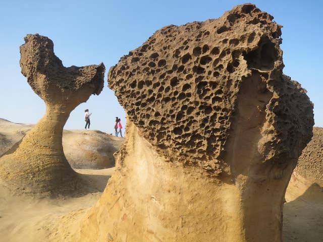 Taipei: Private City Sightseeing Tour with Driver