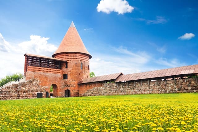 Kaunas: Private custom tour with a local guide